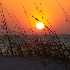 © Jacqueline Stoken PhotoID# 1872275: Florida Sunset