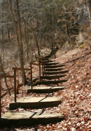 Step By Step