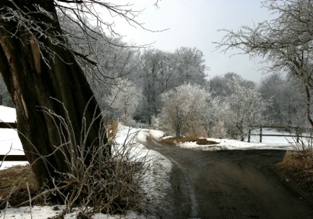 Winter crossroads