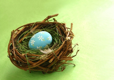Springtime Egg in Nest (with copy space)
