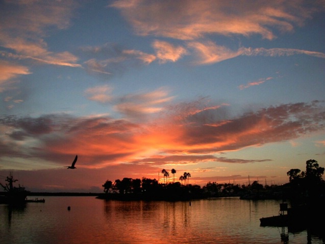 Evening Flight Sunset - Dana Point - ID: 1890624 © Daryl R. Lucarelli