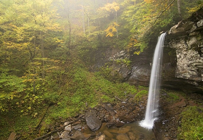 Lower Falls of Hills Creek, Monongahelga NF - ID: 1893696 © george w. sharpton