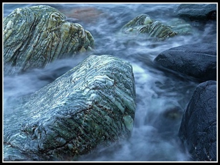 Tidepools, Ecological Preserve II