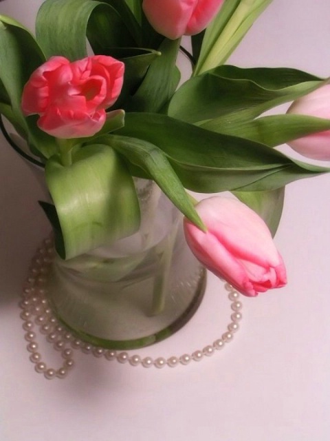 Tulips n Pearls