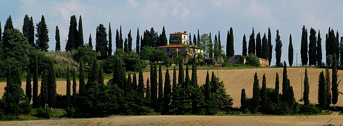 Toscace