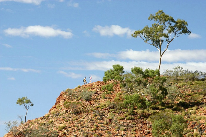 Climbing High