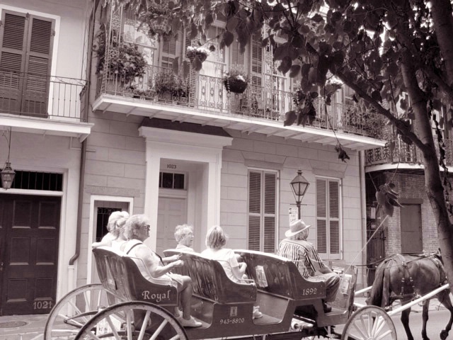 New Orleans Carriage Monotone