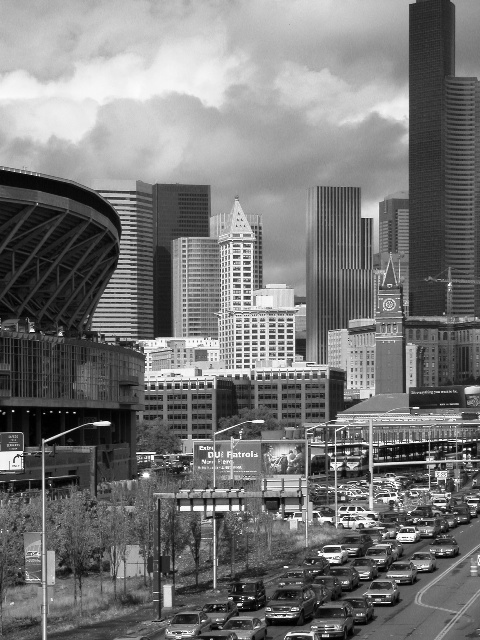 Seattle's Beautiful Cityscape