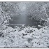 © Thomas A. Statas PhotoID # 1910714: Winter Snow