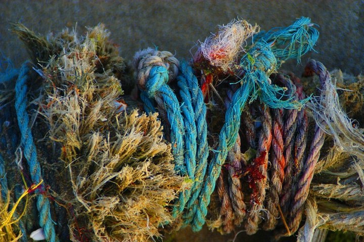 Tangled Ropes From the Ocean
