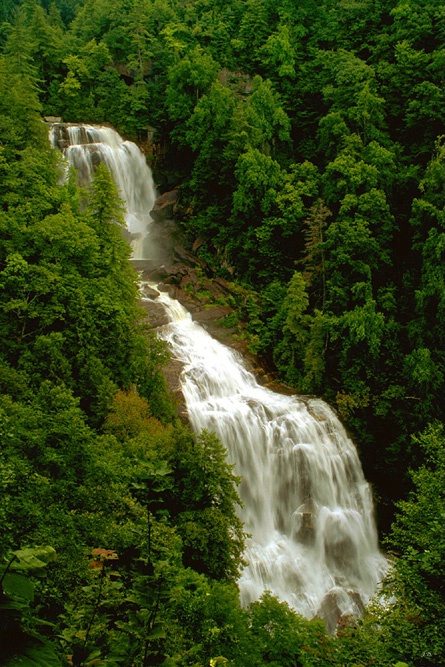 Whitewater Falls
