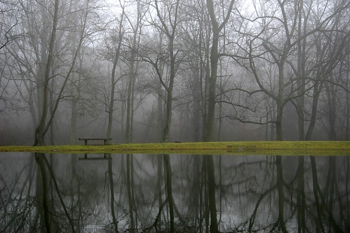 Misty Reflections