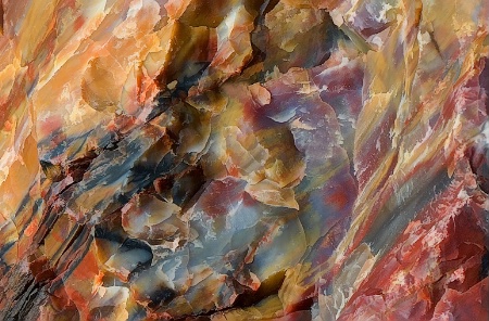 Petrified Wood