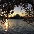 © Richard S. Young PhotoID # 1935913: Jefferson Memorial and Cherry Blossoms, 2006