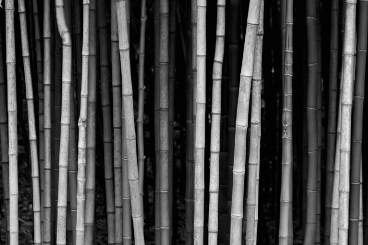 Simply Bamboo