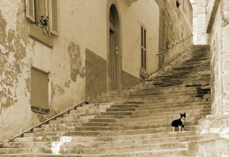 Streets of Cottonera