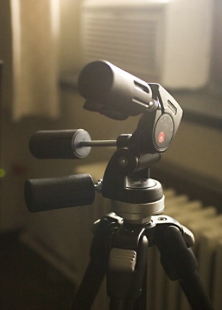 Manfrotto 3030 Head