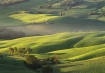 Tuscany Hills in ...