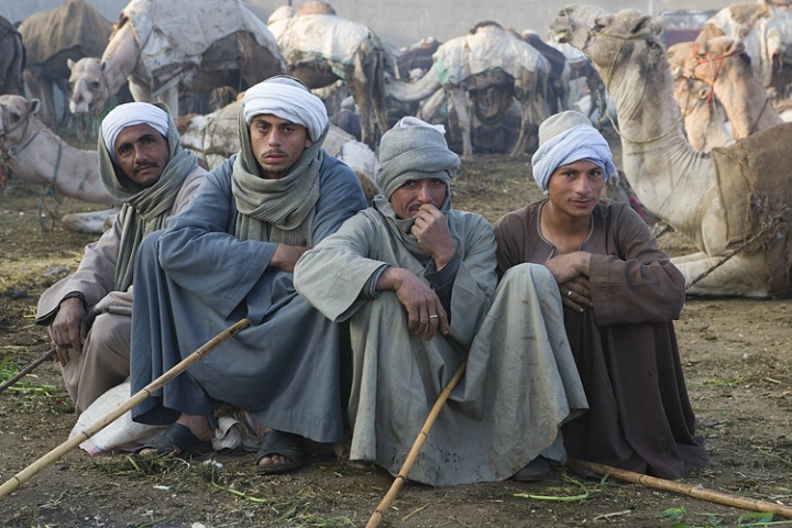 Camel Herders, Egypt.