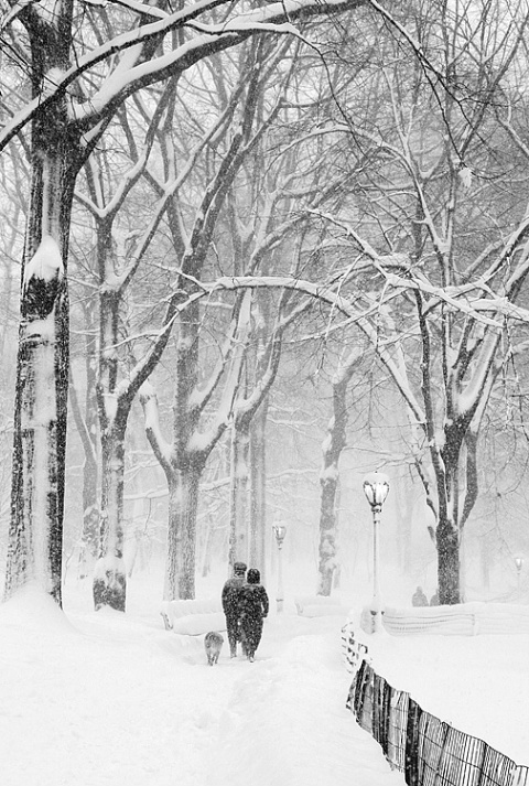 Silent Storm