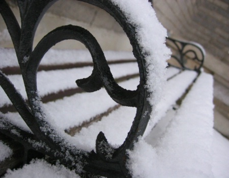 Winter Bench