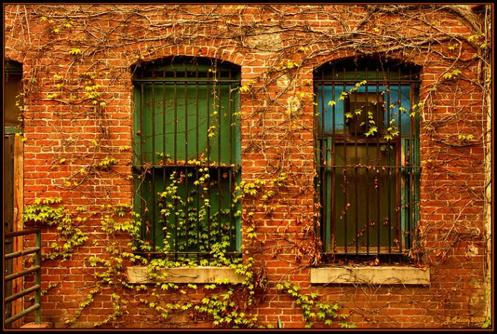 2 Windows In An Alley