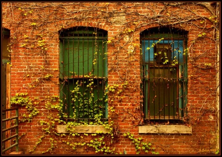 2 Windows In An Alley