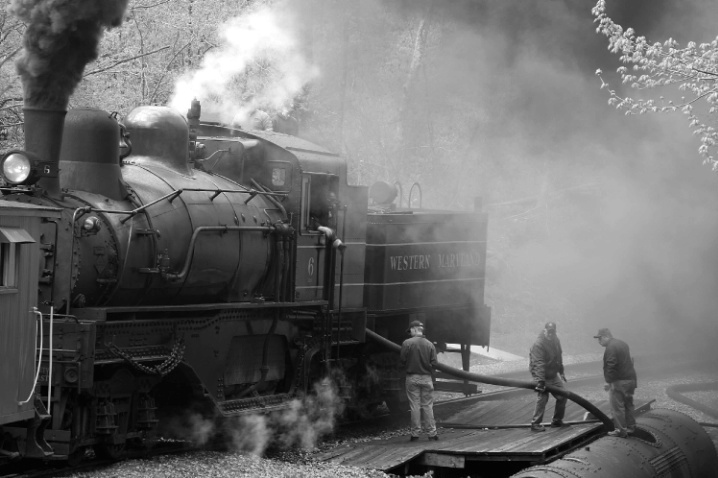 At the Watering Hole, Shay 6, Cass, WV - ID: 1971523 © John Singleton