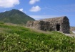 Nevis Ruins 