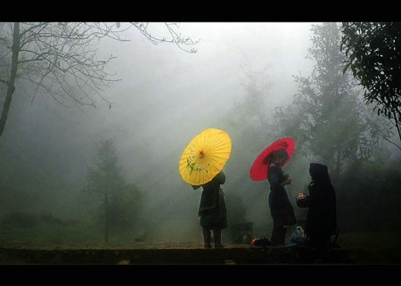 Sapa in misty