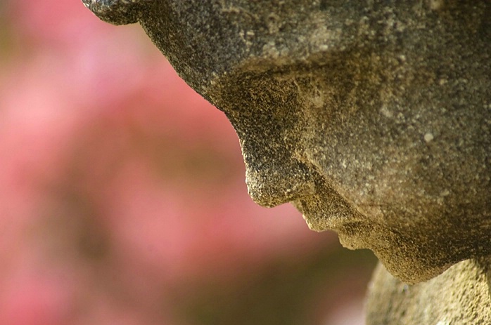 Statue Profile, Historic Downtown Charleston, SC