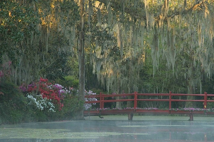 Red Bridge and Fog, Magnolia Gardens, SC