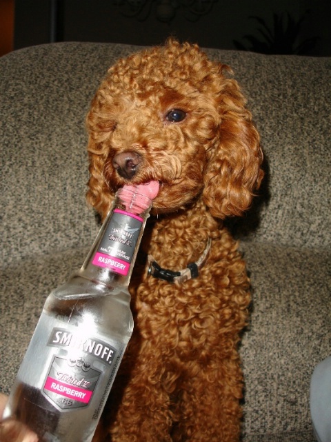 Drink up!