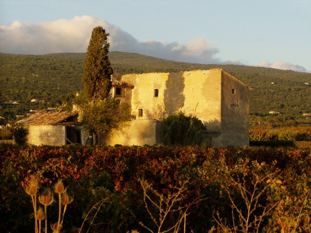 Evening in Provence