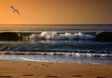 Spring Mornin on the Beach