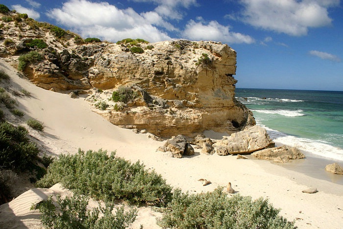 Seal Bay, Australia