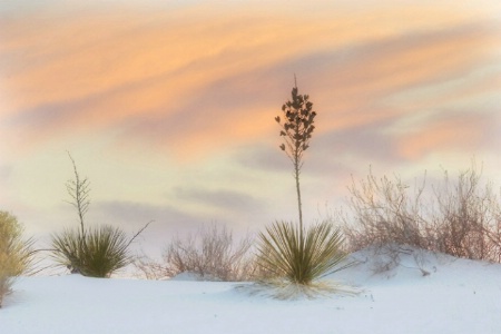 White Sands Sunset