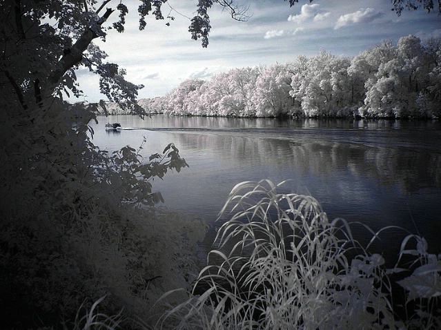 Sunday on the River