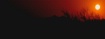 Desert Storm SUN
