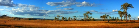 The Wide Paddock