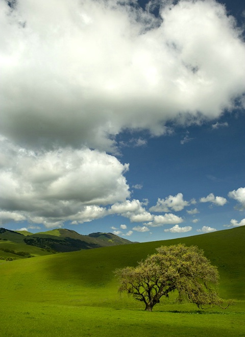 Vasco Road, Livermore, CA