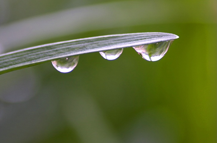 Droplets