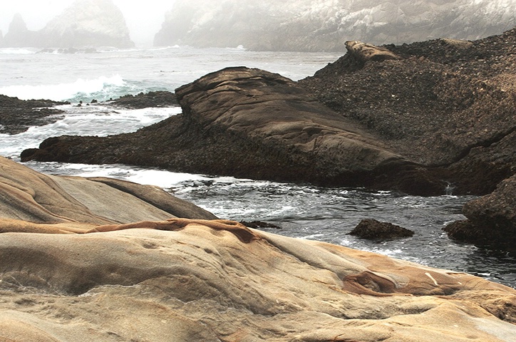 Point Lobos