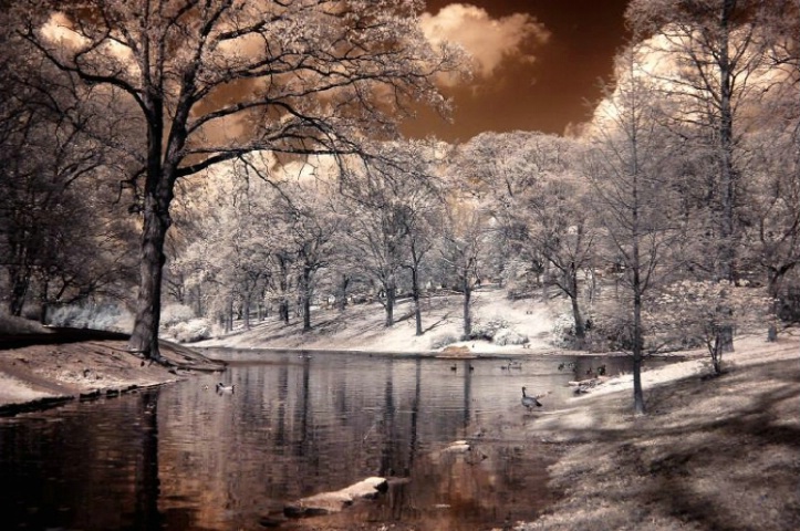 Lake in Cherry-Cola Color (IR)