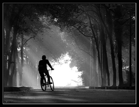 The Cyclist