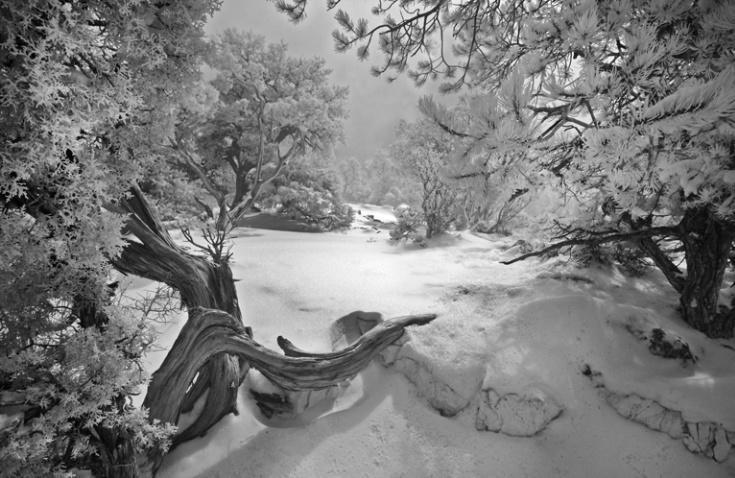 Winter Wonderland - Grand Canyon