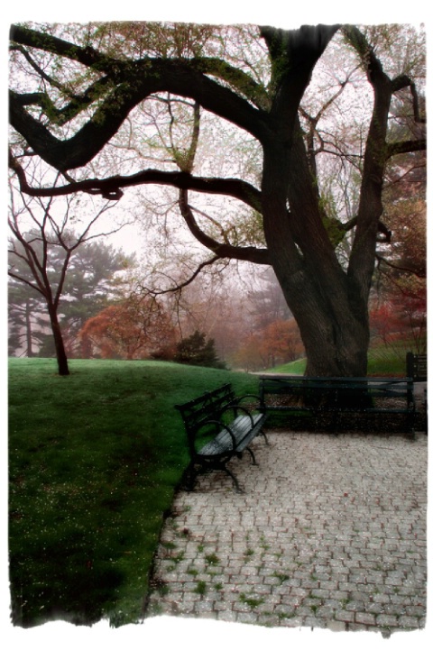 botanical park bench