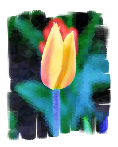 Patchwork Tulip