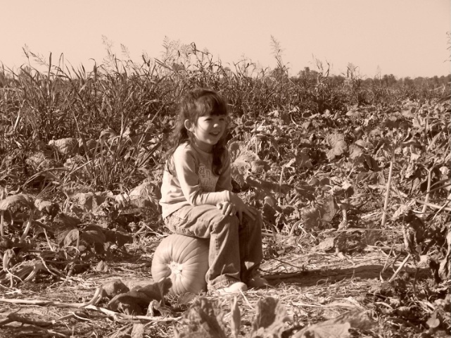 Sepia pumpkin patch