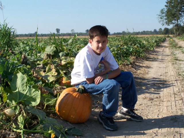 Pumpkin by the road